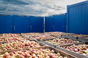 Mietcontaineranlage als Unterkunft für die Erntehelfer auf einem Obsthof im Alten Land vor Kisten mit Äpfeln