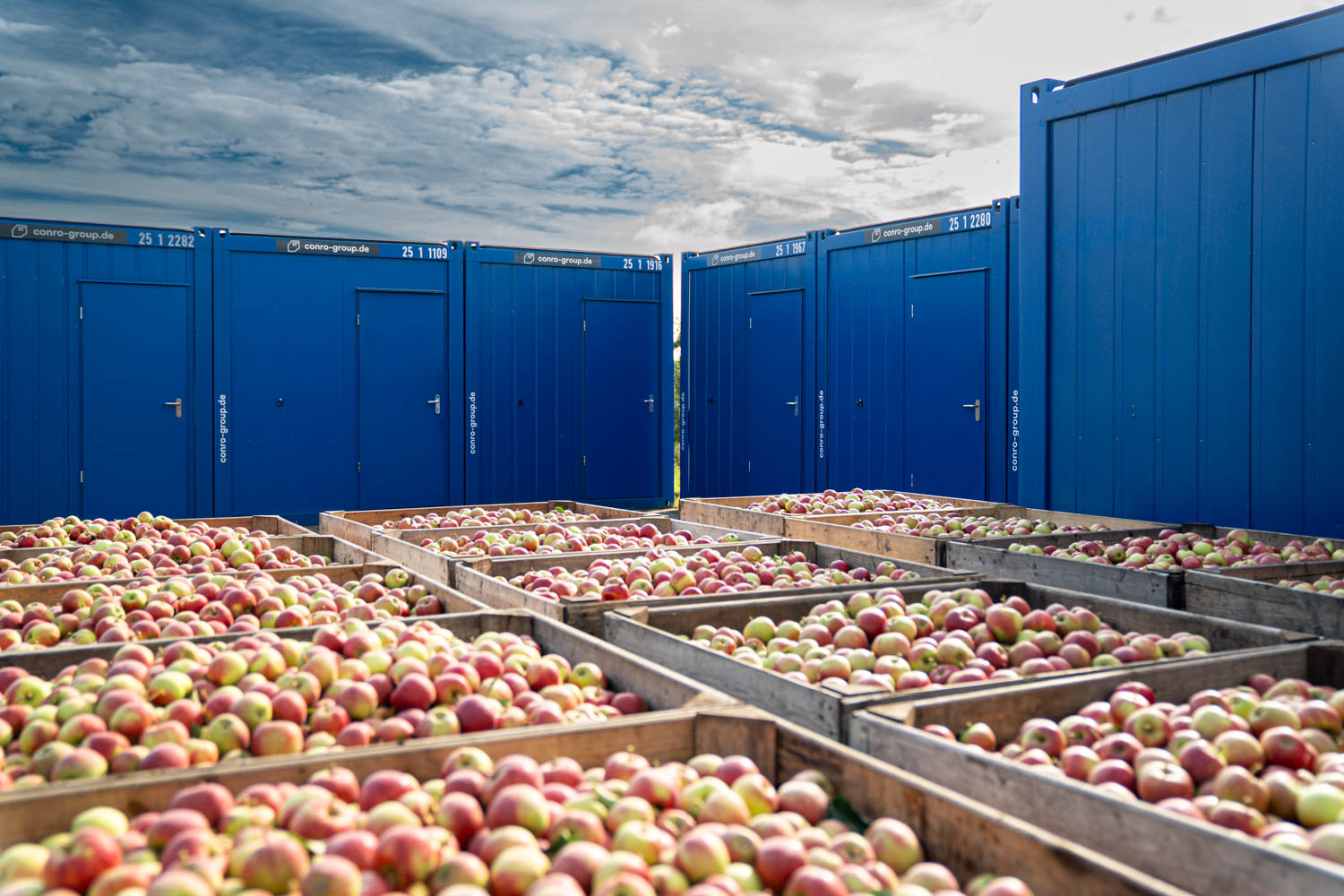 Mietcontaineranlage als Unterkunft für die Erntehelfer auf einem Obsthof im Alten Land vor Kisten mit Äpfeln
